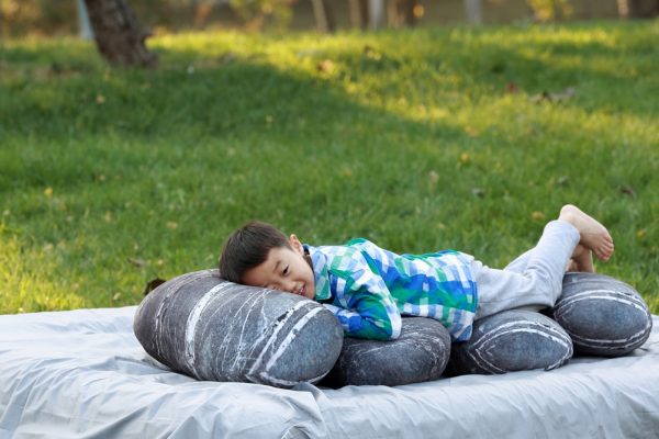 Soft Stone Pillow Pebble Cushions Rock Pillows - Image 11